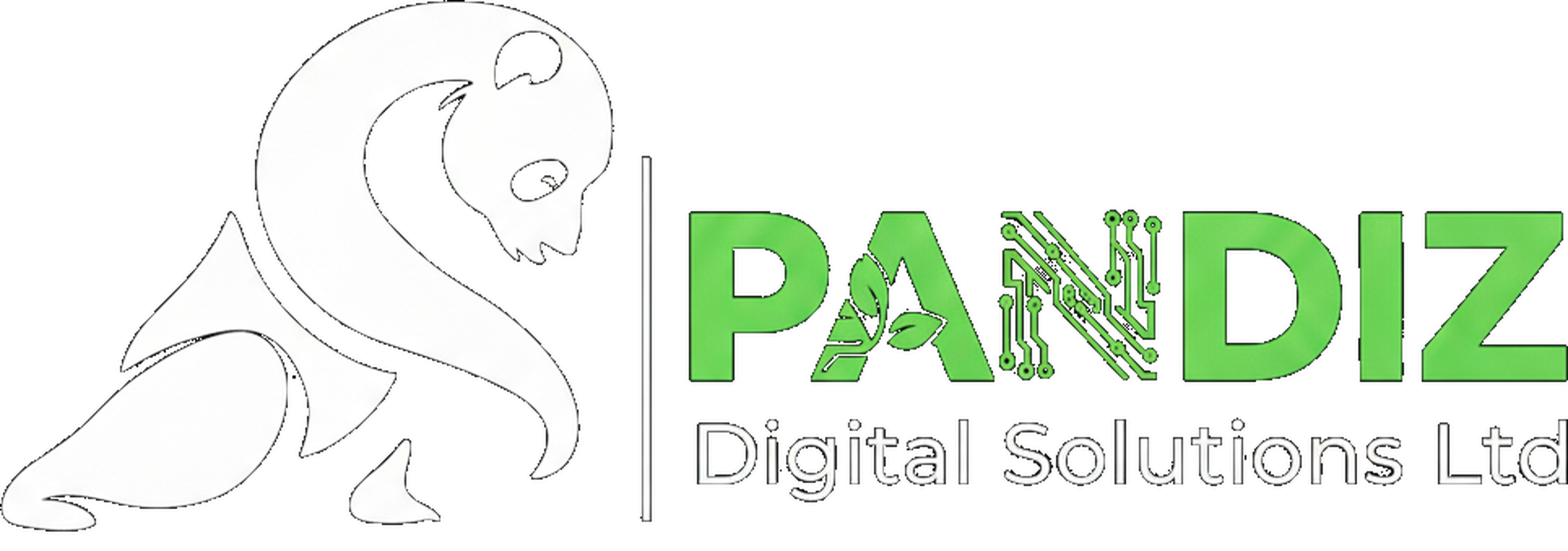 Pandiz Digital Solutions Ltd